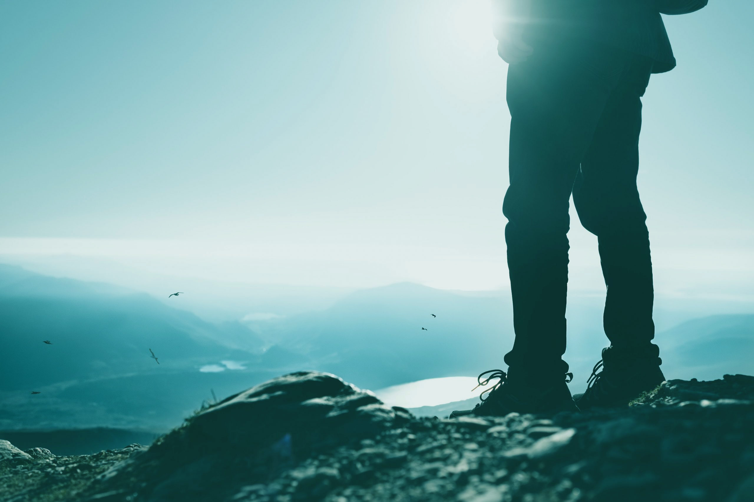 processingly-JHpF0vUrp-E-unsplash-scaled copia